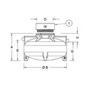 SEPARADOR DE GRASAS APOLLO CON DECAN. 